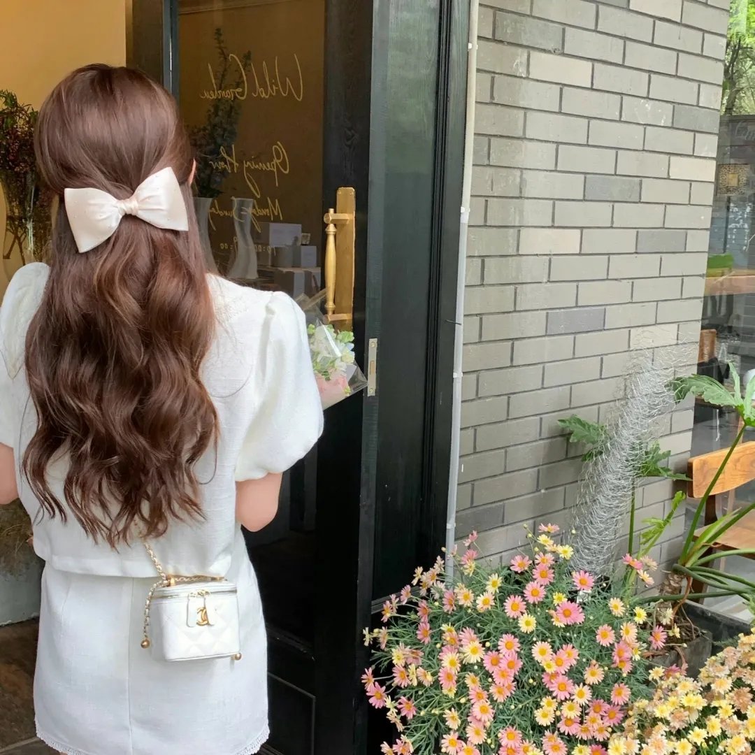 从天而降驸马爷